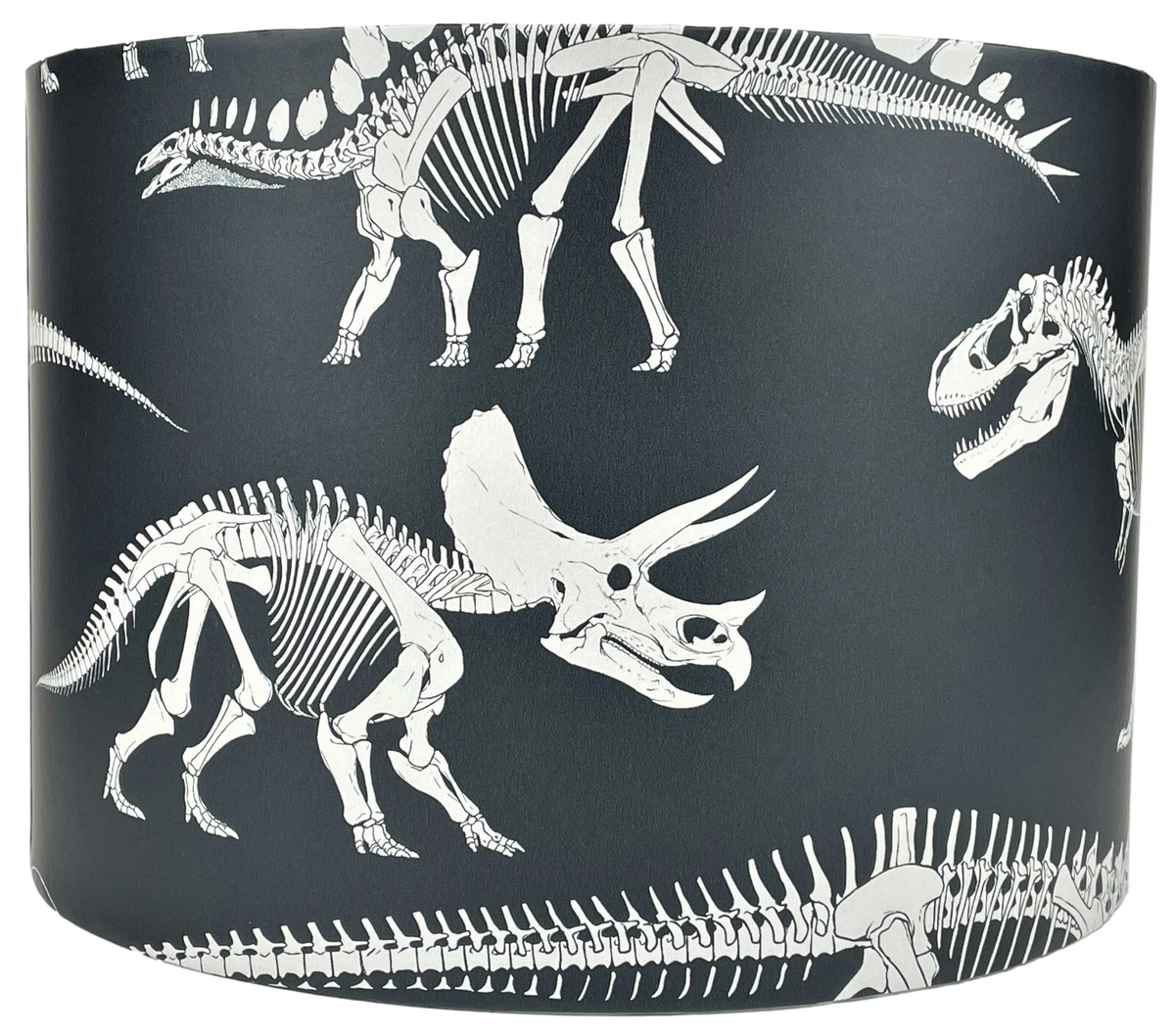 Dinosaur 2024 light shade