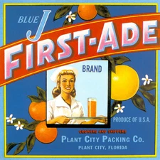 BLUE J FIRST ADE BRAND ORANGE JUICE FLORIDA USA FRUIT VINTAGE POSTER REPRO