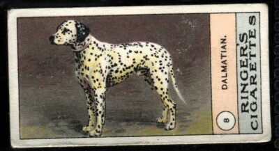 Tabakkarte, Edwards Ringer Bigg, DOGS SERIES, 1908, Dalmatiner, #8