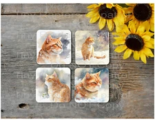 Orange Cat neoprene drink coasters, set of 4, CHOICE, absorbent