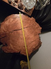 Redwood Burl Wood Slab Table With Beaver Chewed Cottonwood Root Base