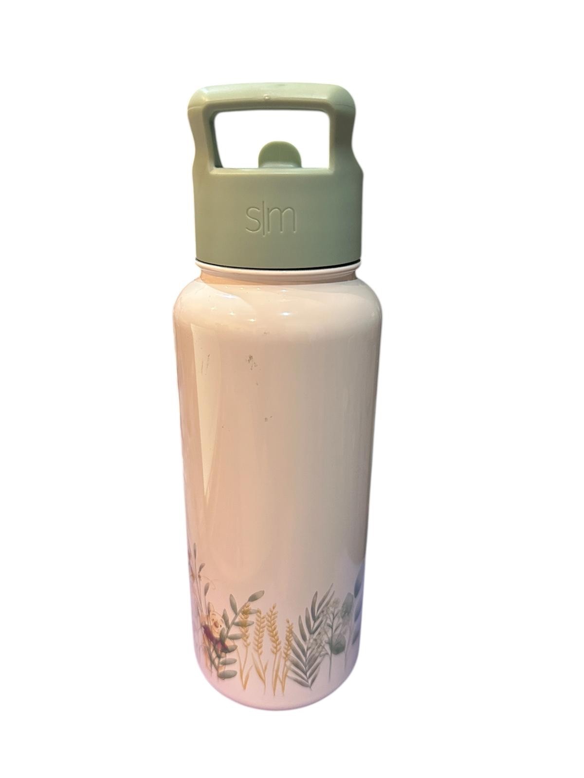 Disney Summit Water Bottle with Straw Lid 32 0z
