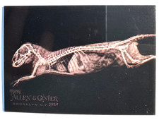 2024 Topps Allen Ginter X-Ray Dwarf Mongoose #XR-14