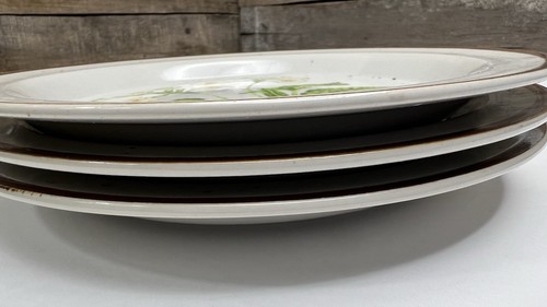 Vtg Hearthside Salad Plate Japan Buffet Ware Stoneware Floral Dinnerware 💚Set 3 - Picture 11 of 14