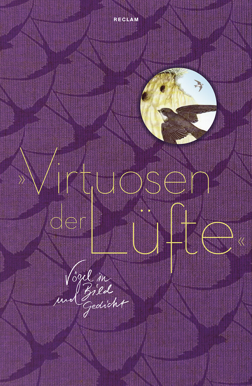 Luise Marohn / 'virtuosen Der Lüfte'