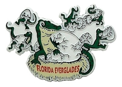 Florida Everglades with Gators Fridge Magnet
