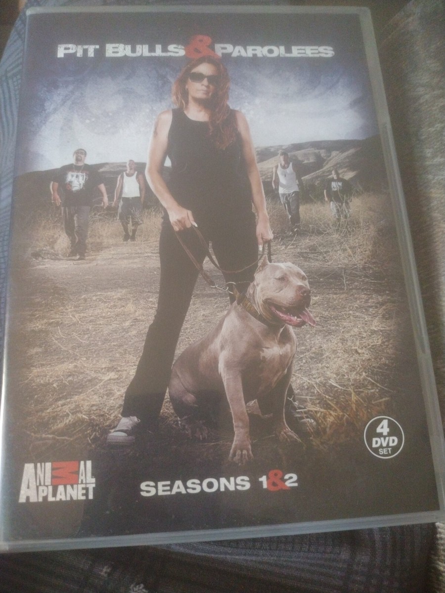 Dog Perry Pitbulls And Parolees ANIMAL PLANET PIT BULLS PAROLEES