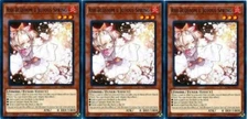 *** 3X ASH BLOSSOM & JOYOUS SPRING 3X *** PLAYSET SDSB-EN019 MINT YUGIOH!