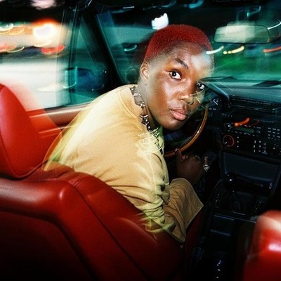 Parks Arlo - Ambiguous Desire CD
