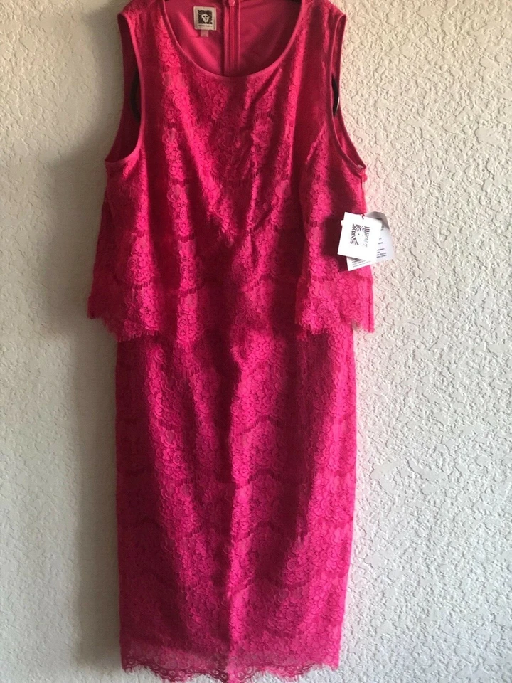 Nuevo con etiquetas Vestido Vaina Anne Klein Flor Rosa Vieira Encaje Pop Over Sin Mangas Talla 10 Foto 3 de 4