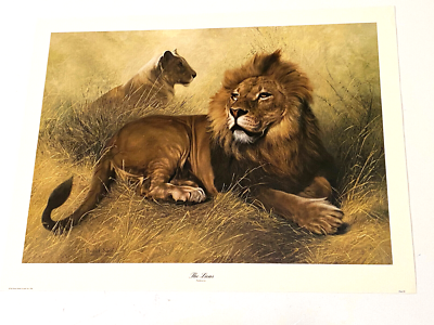 THE LIONS By Charles Frace Limited Edition Wildlife Art Print NEW