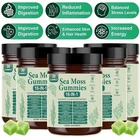 16 in 1 Organic Sea Moss Gummy | Irishmoss Extract 6000Mg | Green Apple Flavor-