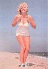 Marilyn Monroe Sam Shaw Photo Postcard by Classico San Francisco #105-236