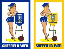 Sheffield Wed Support Wednesday  Pin Badge