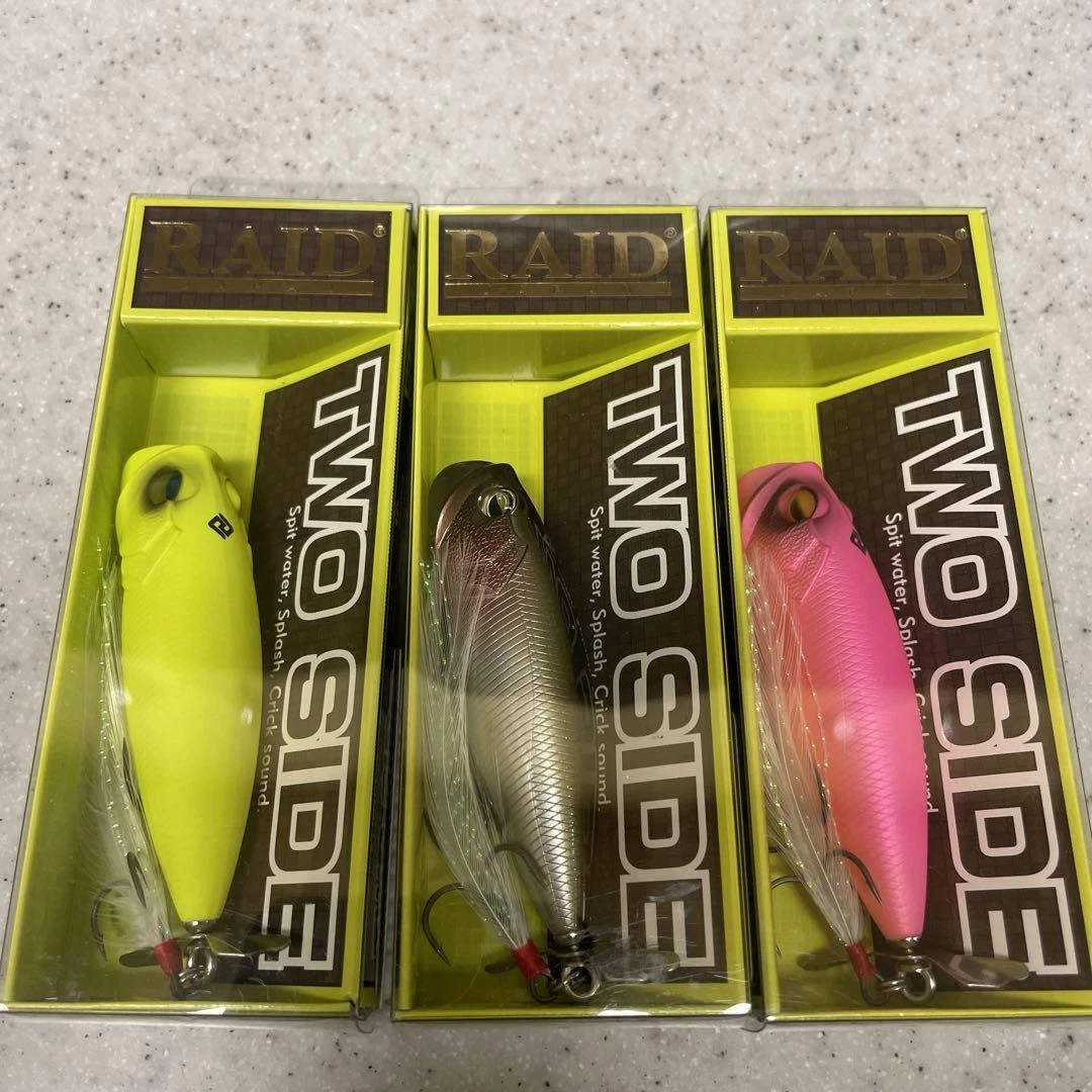 Two Side Piece Set Raid Japan | eBay