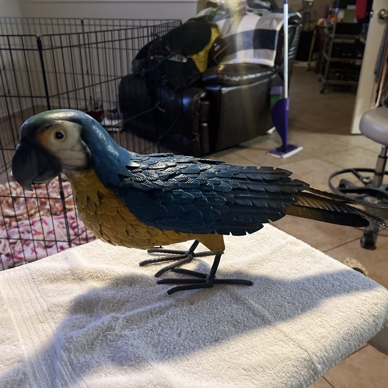 Metal Parrot