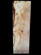 XL MIND BLOWING SPALTED Ambrosia Maple Burl wood Blank, Wormy Wood, EPOXY WOOD