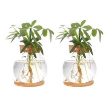 Plant Propagation Station,Hydroponic Glass Container Vase Jars, with Wooden 2