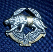 UKRAINIAN SPECIAL OPERATIONS FORCE BERET BADGE.