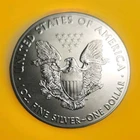 USA 2021 🇺🇸 UNITED STATES American Silver Eagle Bullion Coin  Type 1 Low Issue