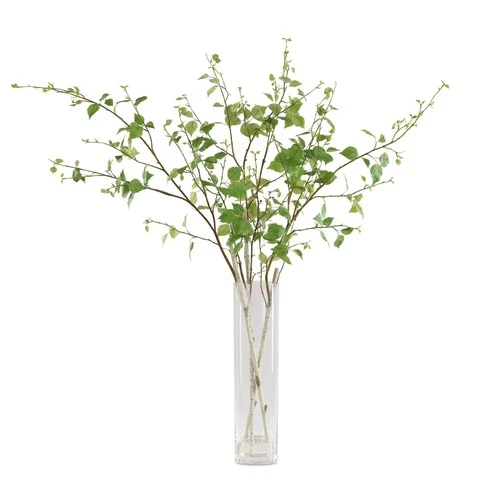 Uttermost 60254 Nigra 20"W Birch Branches Artificial Plant in a - Birch / Clear - Picture 1 of 5