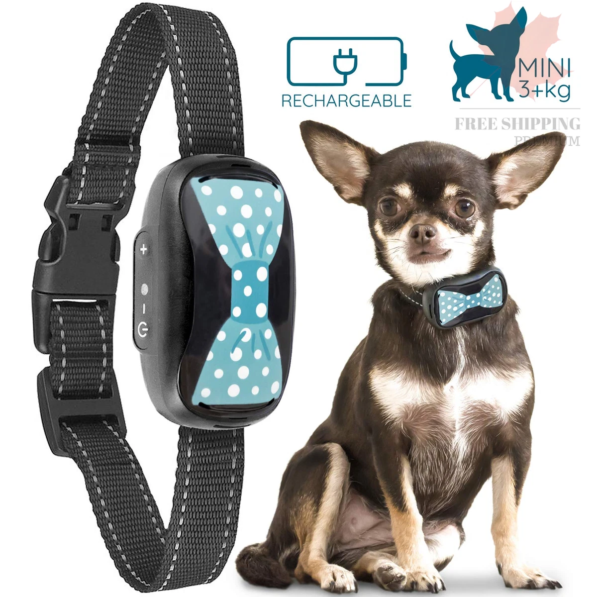 Anti bark collar for chihuahua online