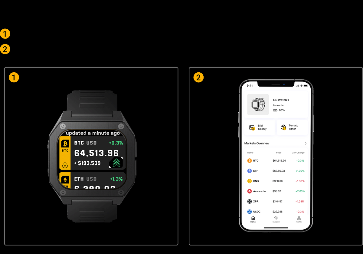 Goldshell GS WATCH SOLO | eBay