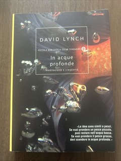 David Lynch In Acque Profonde Meditazione e Creatività Oscar Mondadori 2012 vedi
