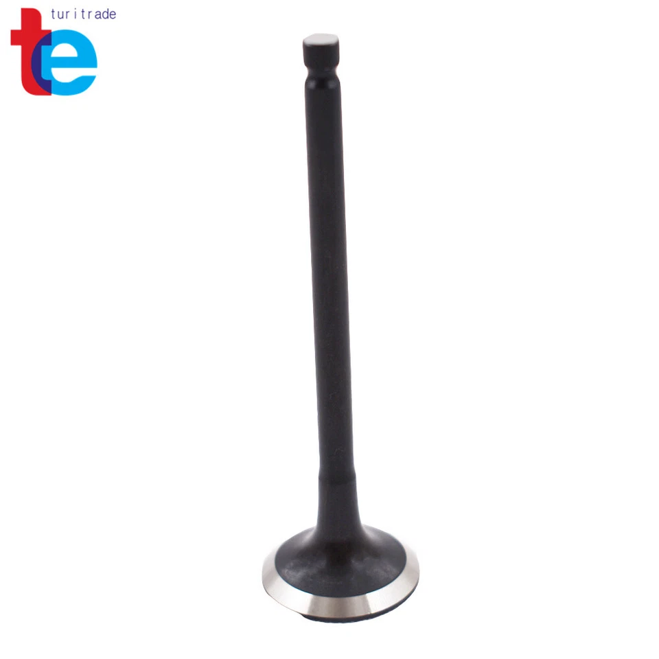 24 piezas válvulas de escape de admisión para Hyundai Kia 1999-2010 2,5 L 2,7 L negro Foto 4 de 4