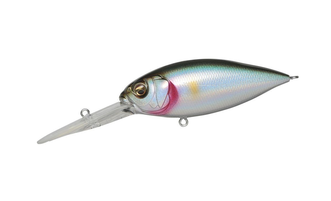 Megabass Deep-X 300 Crankbait **CHOOSE COLOR** | eBay