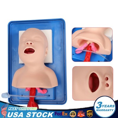 Intubation Manikin Study Teaching Baby Infant Model Airway Management Trainer