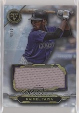 2019 Topps Triple Threads Single Jumbo Relics 14/36 Raimel Tapia #SJR-RT1 qy8