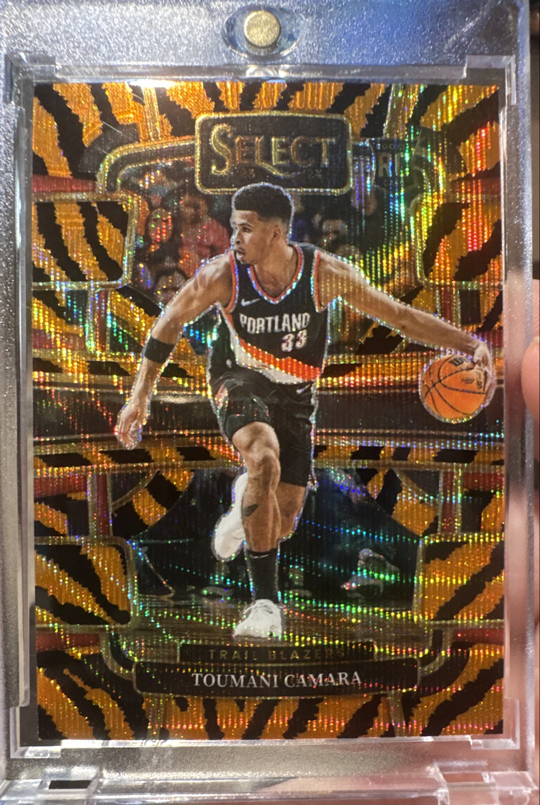 2023-24 Panini Select - Concourse Toumani Camara #81 Tiger Stripes Prizm (RC)