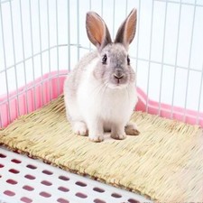 Rabbit Grass Chew Mat Small Animal Hamster Guinea Pig Cage Bed House Pads AU