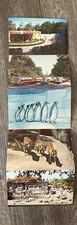 Vintage Detroit Zoo Chrome Postcard Strip of 5 - train penguins tigers bears