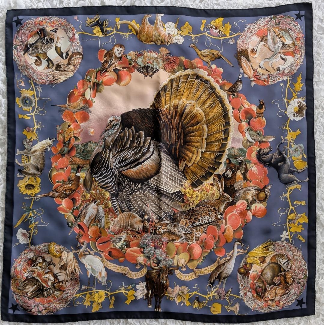 Hermes Carre 90 Texas Fauna and Flora Illustrated Scarf | eBay