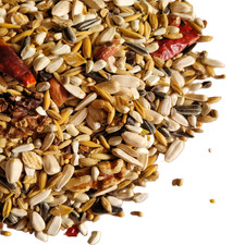 CONURE MIX 350g 1kg 2.5kg, 5kg, 10kg, 15kg : Bird Food Parrot Parakeet Cockatiel