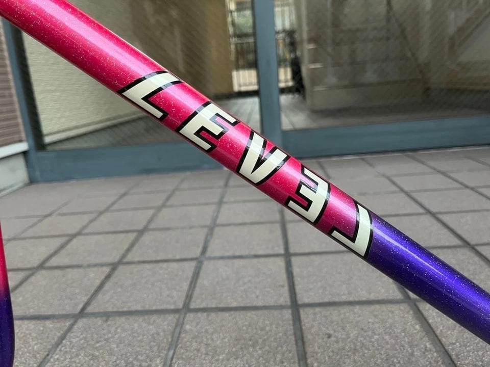 Level NJS Track Bike Frame Keirin Pista USED - Image 3 of 4