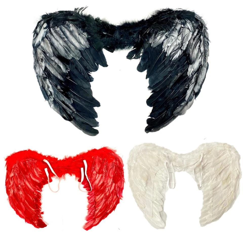ailes plumes - Photo 1/1