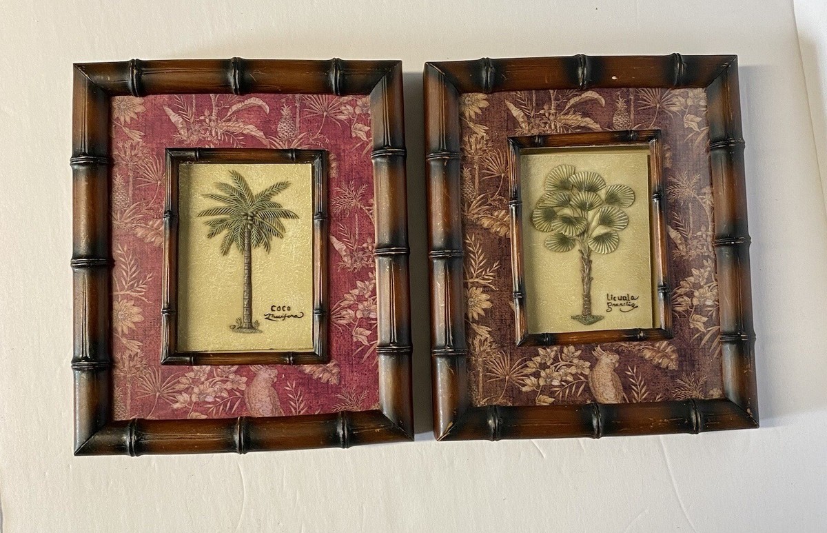 Set Of 2 Charlene Audrey 2004 Coco Nessiflora Pela Concept Palm