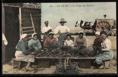 Ile de Re, Le Triage des Huîtres, Krebsfischer, Ansichtskarte 1914 