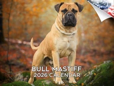 Bull Mastiff Dog Breed Calendar 2026 12x18 Made in USA