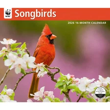 Carousel Calendars,  Songbirds WWF 2026 Wall Calendar, 12.01'' X 14.09'', 16-Mon
