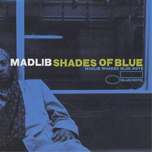 Madlib Shades of Blue | eBay