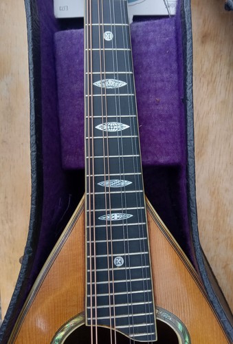 1919 Antique Mandolin by VEGA CO. Boston Bowl Back new set up - Picture 8 of 17