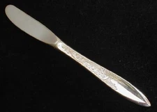 Gorham WHITE PAISLEY butter spreader(s)