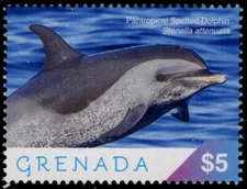 GRENADA 4325c - Pantropical Spotted Dolphin "Stenella attenuata" (pc29905)