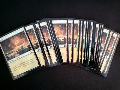 MTG J2 - 25 SAME ART FOIL BASIC LAND AFR #265 ADAM PAQUETTE PLAINS MATCHED LOT