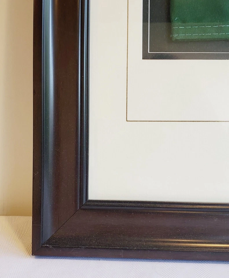 Club de Golf Júpiter Florida 2019 Osprey Cup Champion Flag enmarcado Dye Preserve   Foto 4 de 4