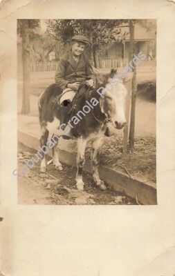 Postcard RPPC 1910 Smiling Boy on Donkey, Hat & Coat, Sent by Mr. J Tillgner